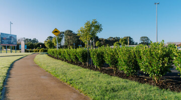 Hamilton Airport Commercial Planting Natural Habitats Lo Res 4