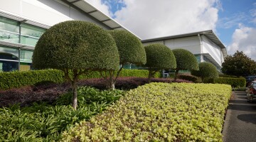 Healthcare Park Garden Maintenance Natural Habitats 100