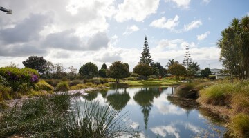 Healthcare Park Garden Maintenance Natural Habitats 104