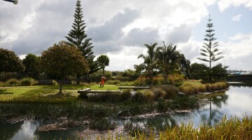 Healthcare Park Garden Maintenance Natural Habitats 107