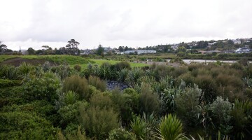 Healthcare Park Garden Maintenance Natural Habitats 36