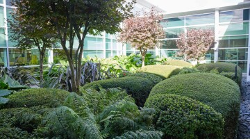 Healthcare Park Garden Maintenance Natural Habitats 91