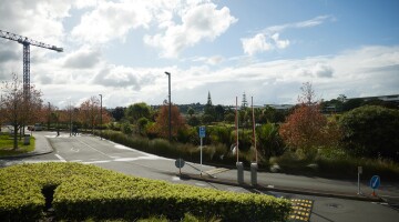 Healthcare Park Garden Maintenance Natural Habitats 96