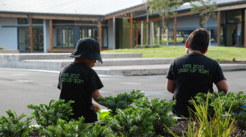 Hingaia School School Landscaping Natural Habitats 20