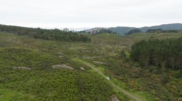 Hunua Reforestation Natural Habitats 55