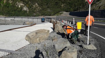 Kaikoura Earthquake Response Natural Habitats 17