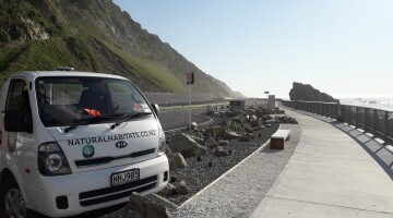 Kaikoura Earthquake Response Natural Habitats 19