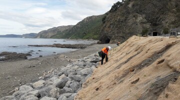 Kaikoura Earthquake Response Natural Habitats 33