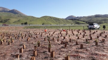 Kaikoura Earthquake Response Natural Habitats 5