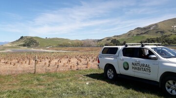 Kaikoura Earthquake Response Natural Habitats 6