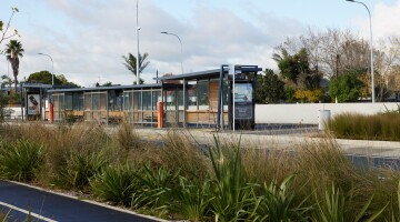 Panmure Busway Infrastructure Planting Natural Habitats 12