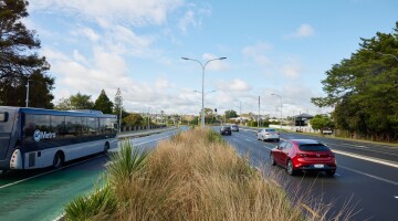 Panmure Busway Infrastructure Planting Natural Habitats 1