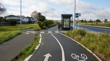 Panmure Busway Infrastructure Planting Natural Habitats 24