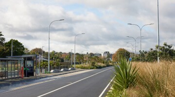 Panmure Busway Infrastructure Planting Natural Habitats 30