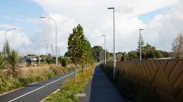 Panmure Busway Infrastructure Planting Natural Habitats 32