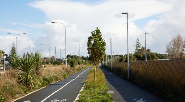 Panmure Busway Infrastructure Planting Natural Habitats 33