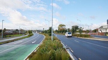 Panmure Busway Infrastructure Planting Natural Habitats 4