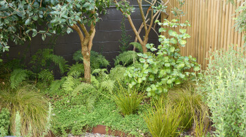 Ponsonby Pocket Garden Planting Details 3