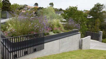 Remuera Rooftop Garden 2