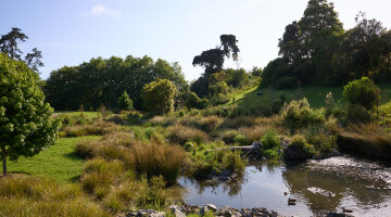 Taiotea Stream Natural Habitats 23