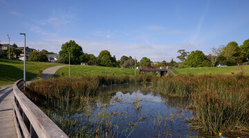 Taiotea Stream Natural Habitats 24