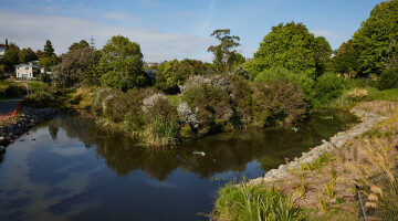 Taiotea Stream Natural Habitats 29