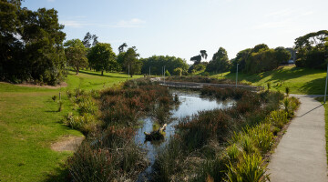 Taiotea Stream Natural Habitats 32