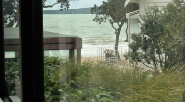 Takapuna Coastal Cocoon Residential Landscaping Natural Habitats 11