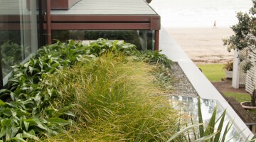 Takapuna Coastal Cocoon Residential Landscaping Natural Habitats 14