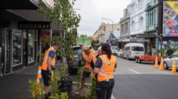 Tree Planting Natural Habitats Nadine and Tim Photography 47