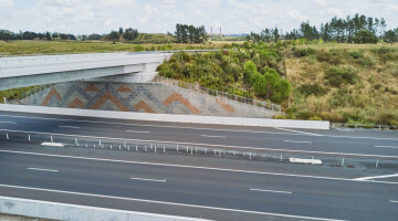Waikato Expressway Huntly Section Infrastructure Planting Natural Habitats 28