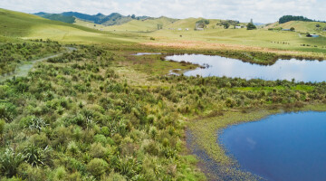 Waikato Expressway Huntly Section Infrastructure Planting Natural Habitats 32