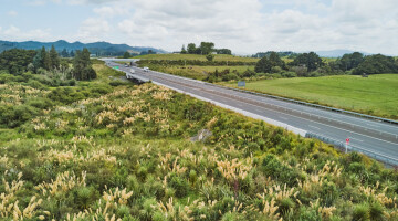 Waikato Expressway Huntly Section Infrastructure Planting Natural Habitats 6