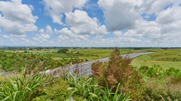 Waikato Expressway Huntly Section Infrastructure Planting Natural Habitats 71