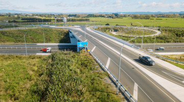 Waikato Expressway Infrastructure Planting Natural Habitats 14