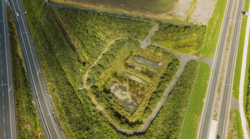 Waikato Expressway Infrastructure Planting Natural Habitats 26