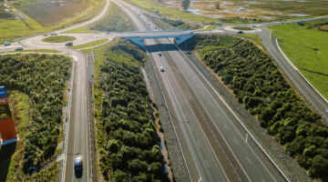 Waikato Expressway Infrastructure Planting Natural Habitats 47