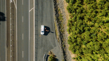 Waikato Expressway Infrastructure Planting Natural Habitats 56