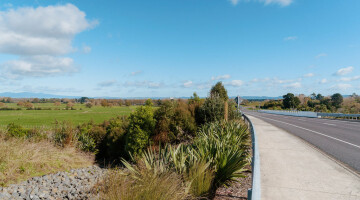 Waikato Expressway Infrastructure Planting Natural Habitats 8