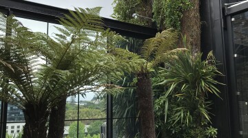 Westfield Newmarket Rooftop Garden 8